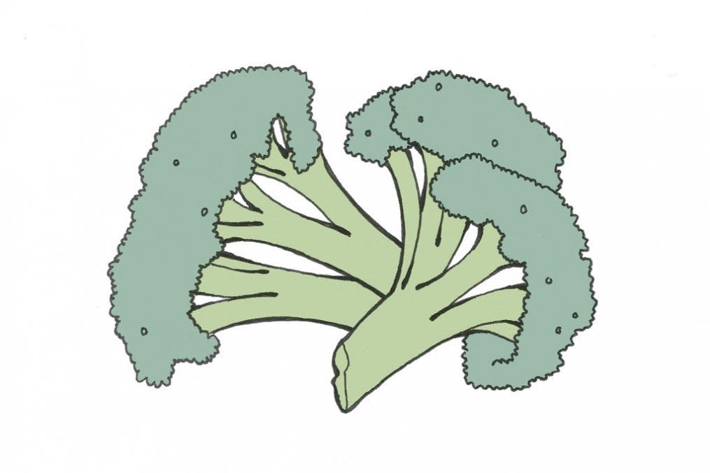 Folic_acid_broccoli