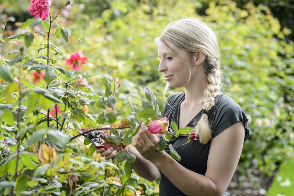 Gardening: the latest fitness trend?