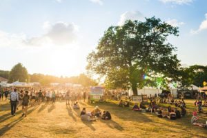 Healthy's summer festival tips and picks