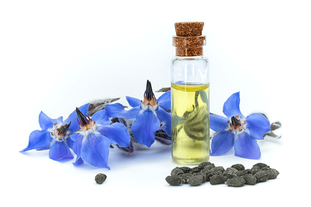 What does starflower oil do?